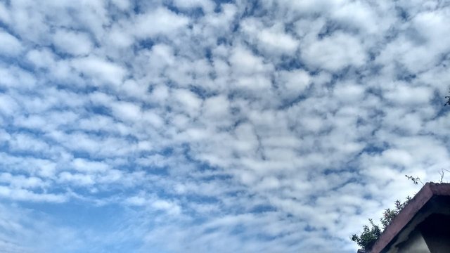IMG-20201112-WA0004.jpg