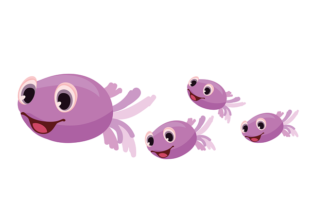 fish-g643bd976d_640.png