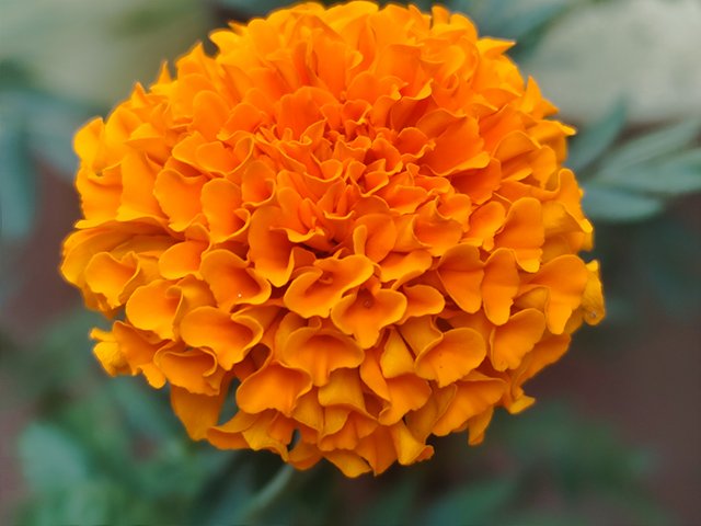 IMG_20250802_130854.jpg