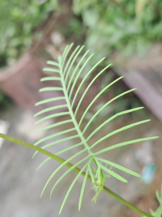 20250620_153409.jpg