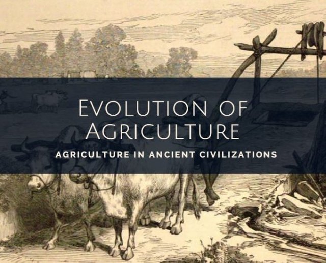 Agriculture-in-ancient-civilizations.jpg