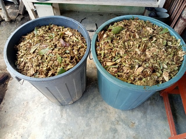 IMG20241211092601.jpg