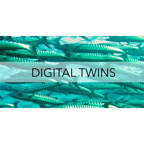 DIGITALTWINSinstagram.jpg