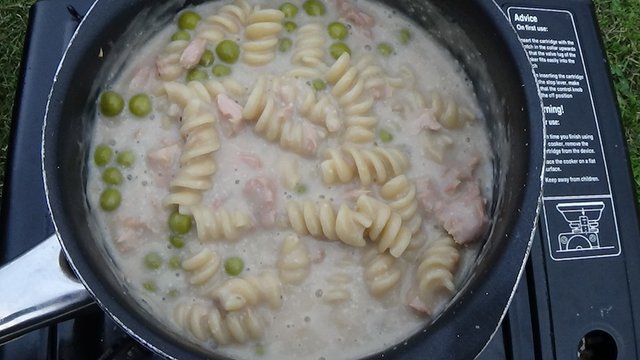 Macaroni Mush 2.jpg