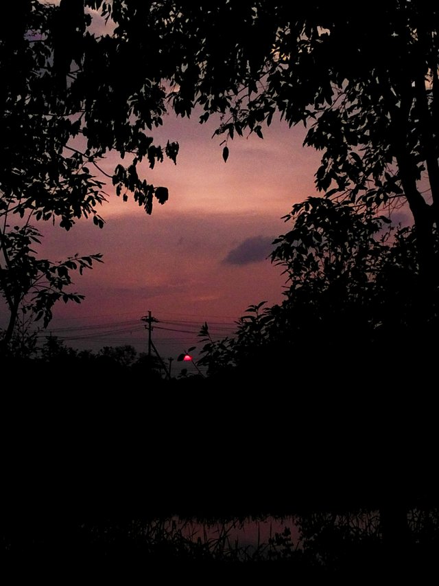 IMG20250609182431_1.jpg