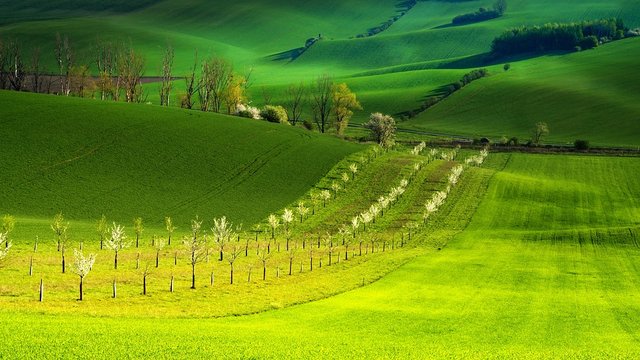 Biozones-Landscape-South-Moravia-Moravia-Spring-3383757.jpg