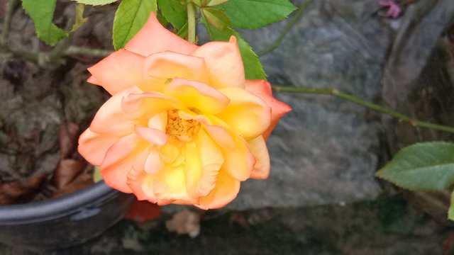 IMG_20250901_100853.jpg
