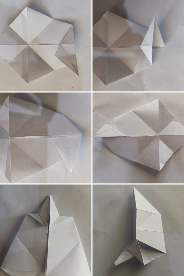 20250721_173001-COLLAGE.jpg