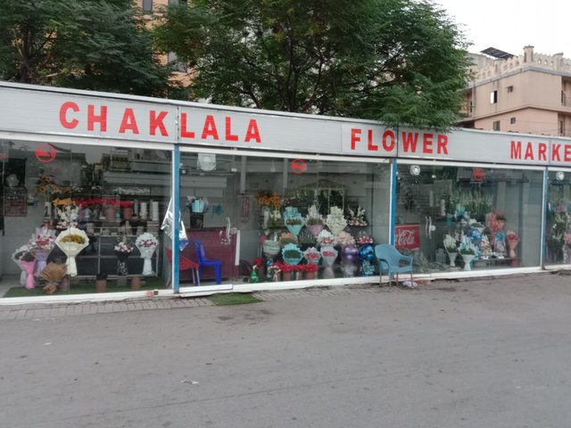 IMG-20250921-11.jpg