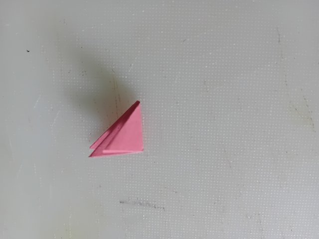 1000038551.jpg