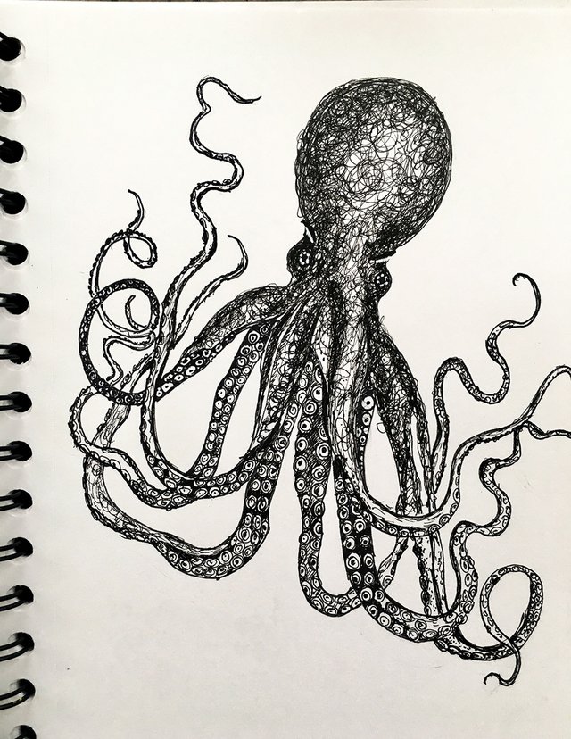 octopus.jpg