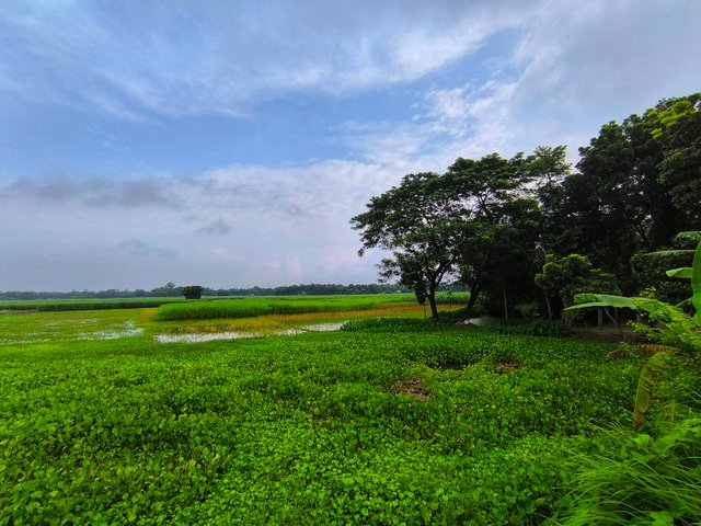 IMG_20250706_063711.