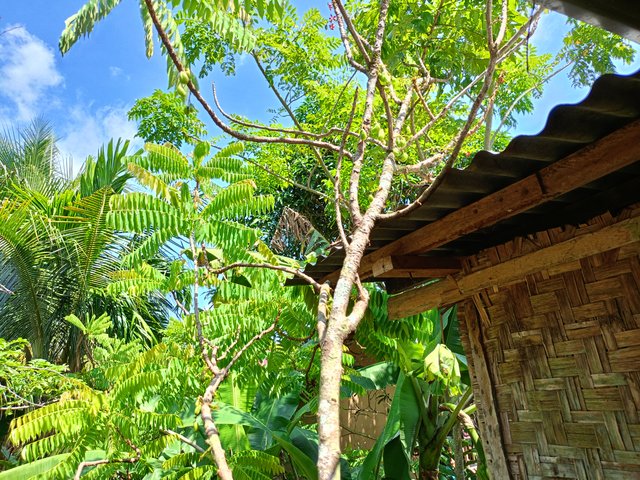 IMG20250718105440.jpg