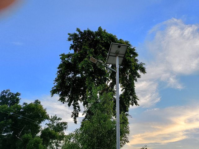 1000043117.jpg