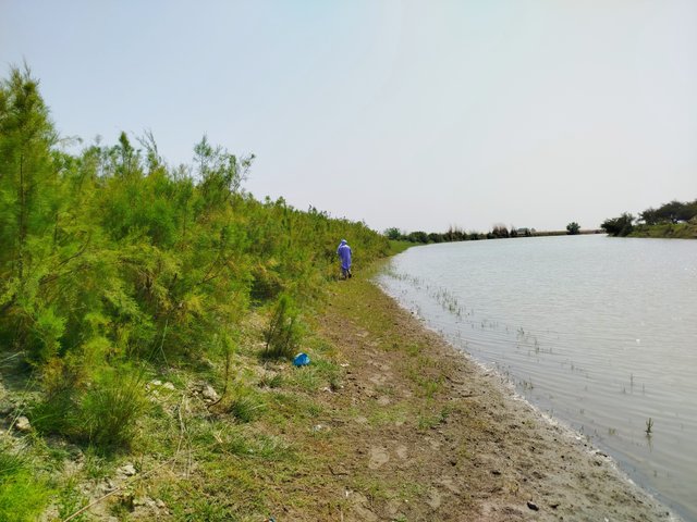 IMG_20250429_235344.jpg