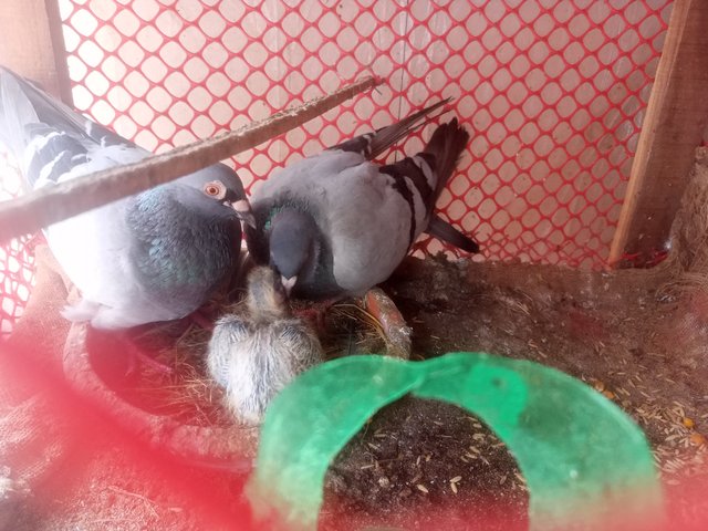 IMG20250613120819.jpg