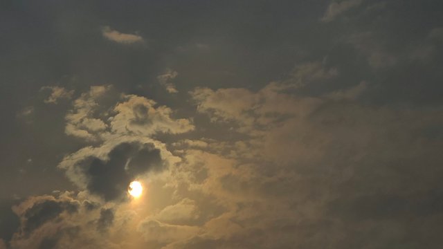 20250827_160940.jpg