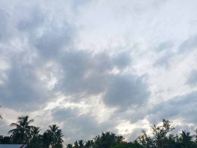 IMG_20250604_181456.jpg