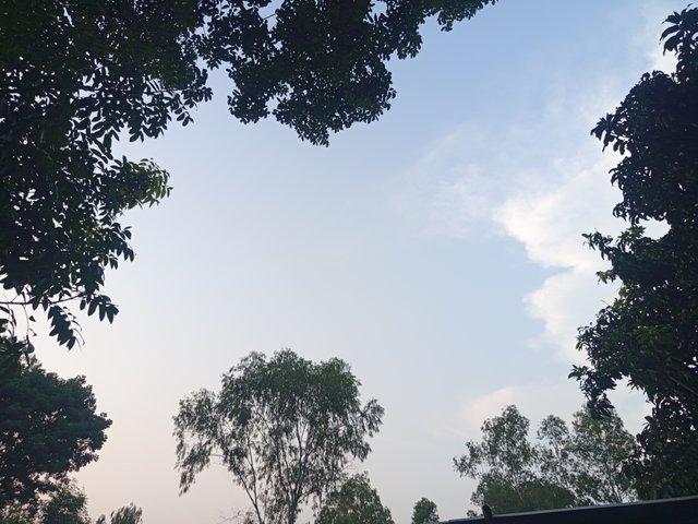 1000010348.jpg
