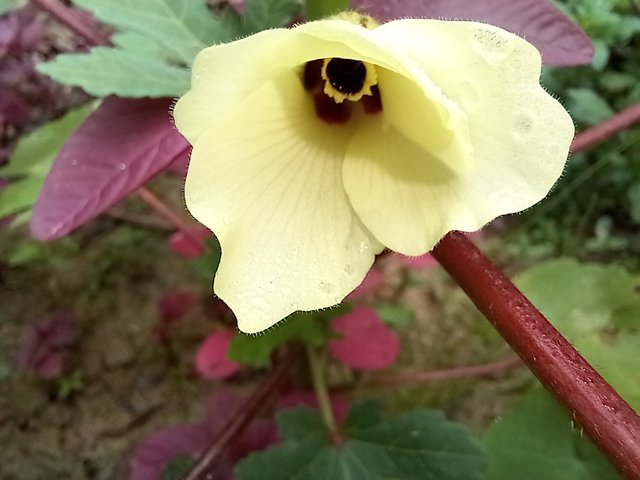 20250620_101359.jpg