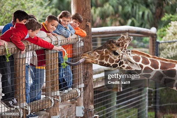 children-at-zoo-feeding-giraffe.jpg