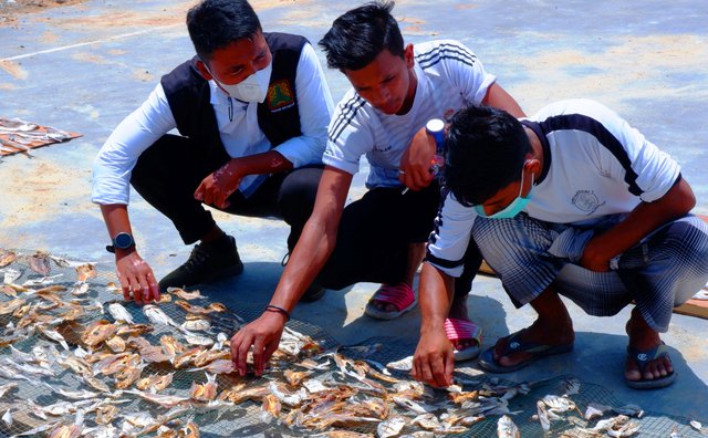 Ikan Asin Rohingya 9.jpg