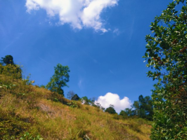 IMG_20250612_143751.jpg