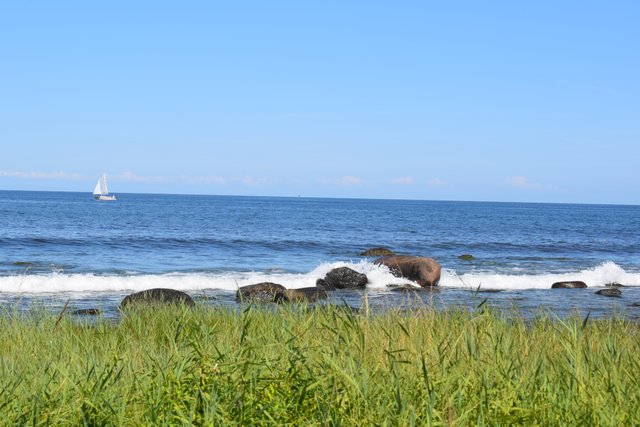 DSC_0209.JPG