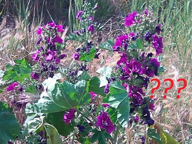 Photo0073.jpg