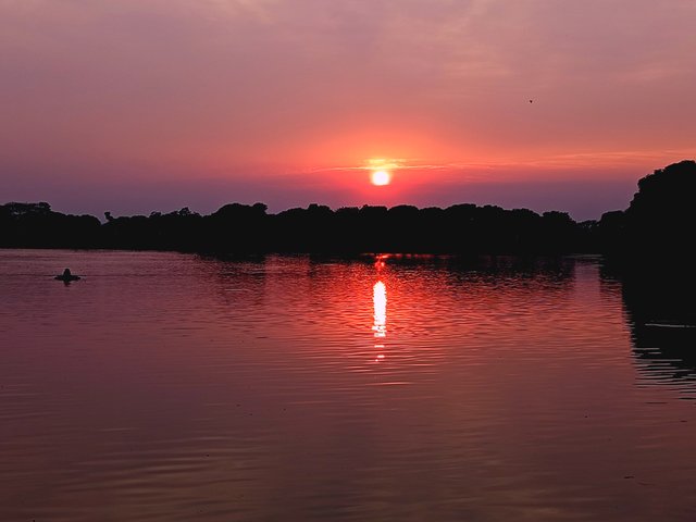 1000014024.jpg