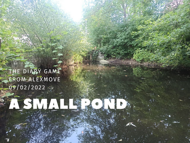 a small pond (2).png