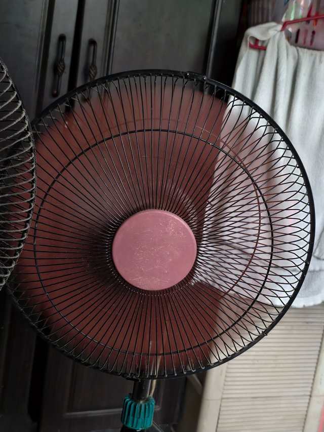 1000010236.jpg