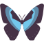 butterfly (7).png