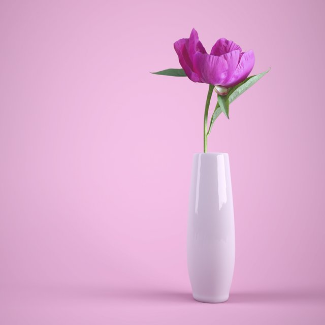 pink-flower-flower-vase-baby-pink-2048x2048-894.jpg