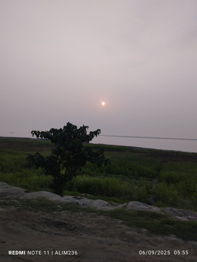 IMG_20250609_055544.jpg