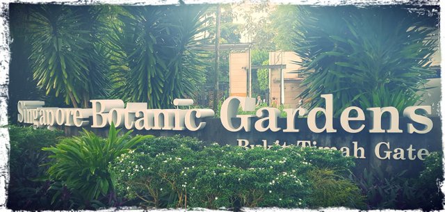 botanic gardens 1.jpg