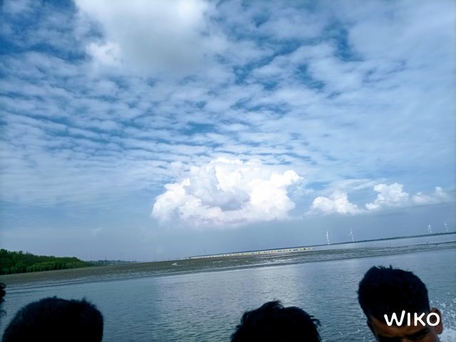 IMG_20241129_135243124_1.jpg