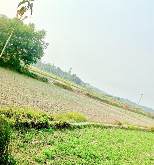 IMG_20250627_201107.jpg