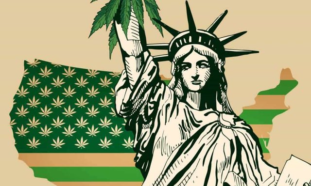 Top Organizations and People That Are Paving the Way to Cannabis Legalization.jpg