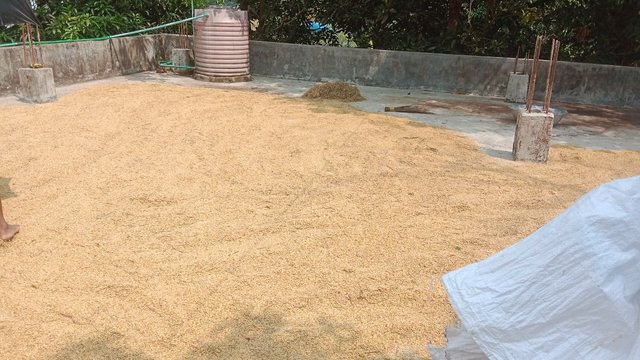 IMG_20250423_185148_406.jpg
