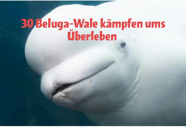 1000029127.png
