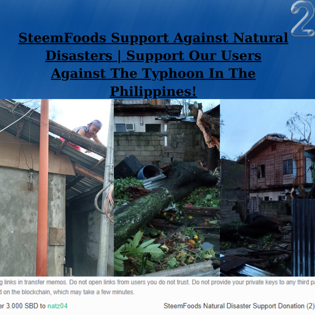 SteemFoods Support Against Natural Disasters  Support Our Users Against The Typhoon  In The Philippines! (2).png