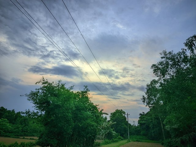 IMG_20250525_175308.jpg