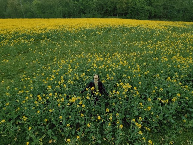 free-photo-of-person-posing-on-meadow-with-flowers.jpeg
