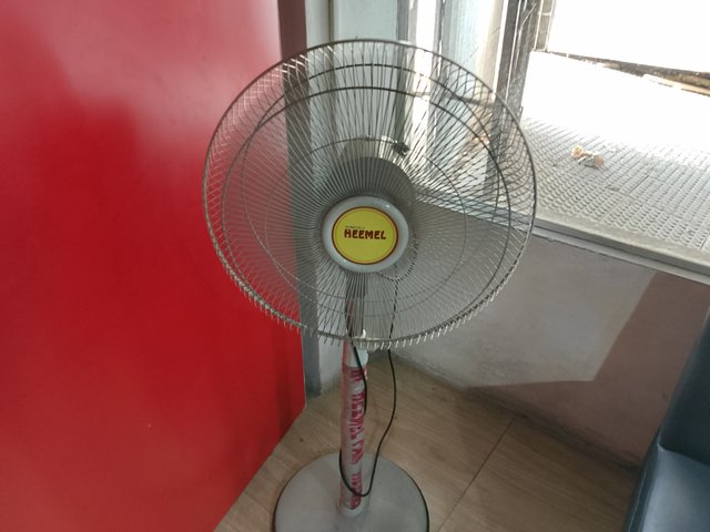 1000035246.jpg
