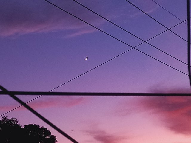 20250826_183708.jpg