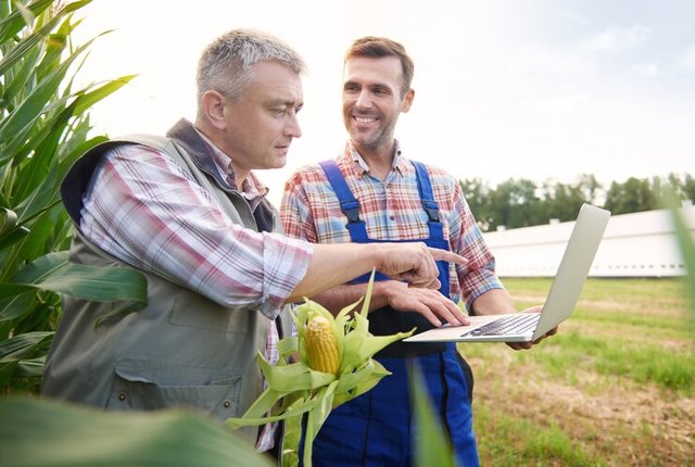 young-farmer-taking-care-his-business_329181-15993.jpg