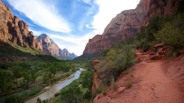 173662-Zion-National-Park-And-Vicinity.jpg