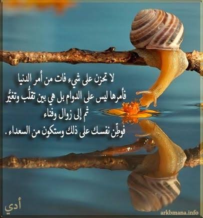 images (13).jpeg