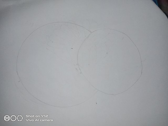 IMG_20250524_220028.jpg